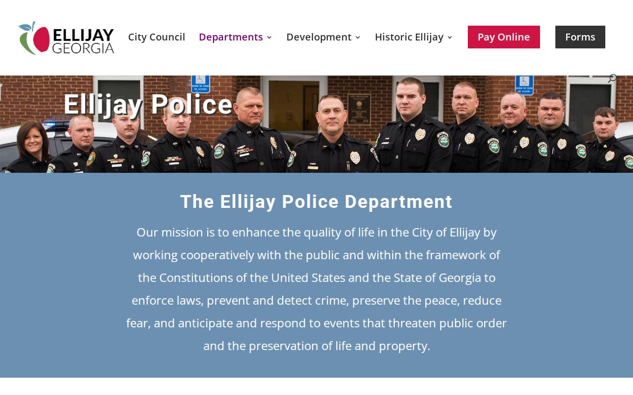 Ellijay court docket traffic citation lookup instructions
